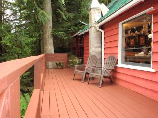 Pet-Friendly Cabin Rental Overlooking a River near Skykomish, Washington - 9