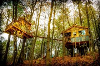 Stunning Tree House Tucked Away Among the Trees near Germantown, Kentucky - 4