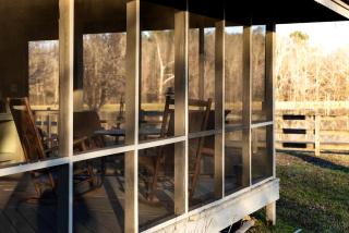 Kid and Pet-Friendly Lake Glamping in Tupelo, Mississippi - 5