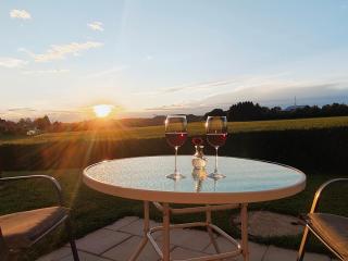 Ferienwohnung Trifts l Wallbox l Parkplatz l AusZeit Card - 3