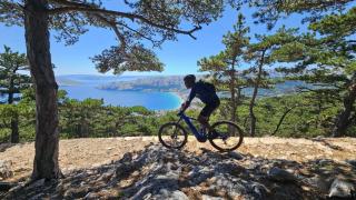 Villa LuLu kamena villa s maslinikom otok Krk Dobrinj selo Gostinjac - 4