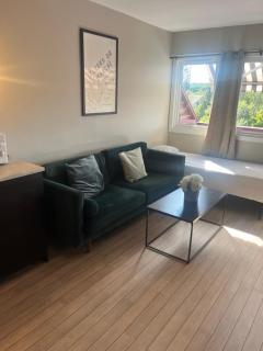 Nice and space efficient apartment - 5