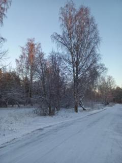 A beautiful row house - 1