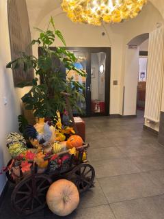 Hotel Schwibbogen Altstadt & Appartements - 0