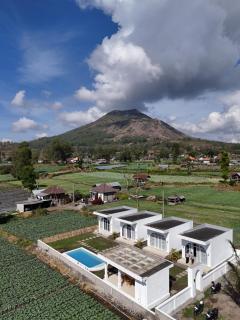 Volcano Garden - 9