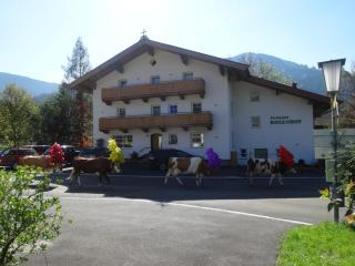 Pension Rosenhof - Brixen im Thale - 8