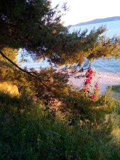 Studio apartman sirena - Zadar - 6