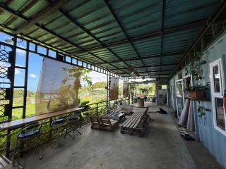 Paradise farm - 1