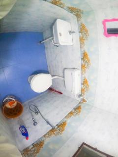 Kavitha nest - 6