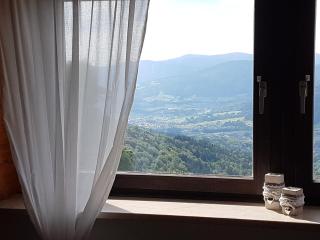 Ferienhaus im Bayerischen Wald - 4