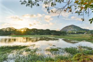 Saludiya Retreat Resort and SPA - Dambulla - 5