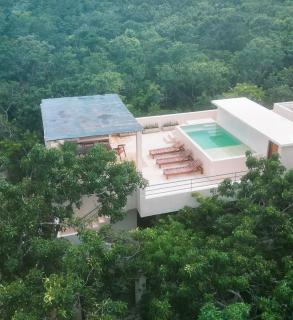 Holistika 9BR Jungle Estate with Private Rooftop & Plunge Pools - 0