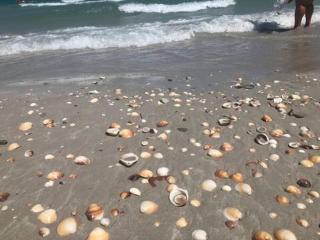 Lovely 1-bedroom rental unit with sea view 2 - 2