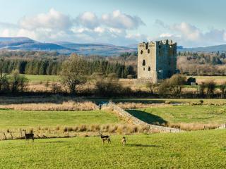2 Bed in Castle Douglas 59637 - 3