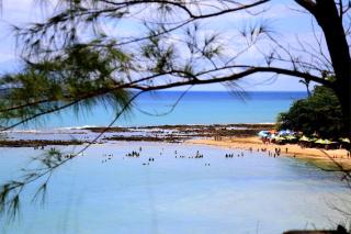 MH CARAPIBUS JACUMÃ litoral do sul de JOÃO PESSOA Beira Mar & Piscina - 4