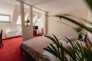 Hotel Aslan - 9