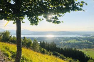 Apartment Alpenblick 3, Halblech im Allgäu, Bergblick pur - NEUERÖFFNUNG! - 5