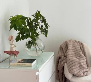 Annas gård, stall & pensionat - 9