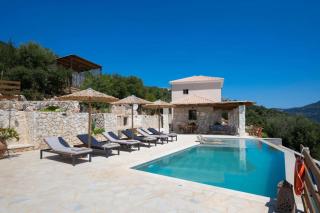 Cactus by Vintage Travel - 9