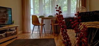 Apartament Wapienna - 9