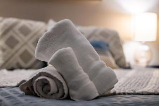 Serene and Spacipus 5BR Home In A Hill Near San Francisco - 3