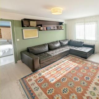 Surfside Patos - 2