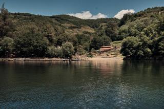 Pincelo Nature - 7