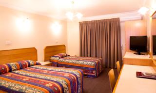 Narellan Motor Inn - 9