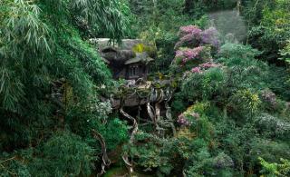 Parakkat Nature Resort - 6