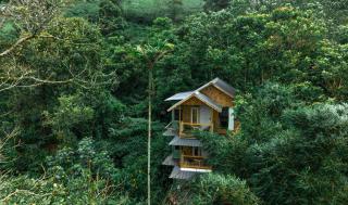 Parakkat Nature Resort - 7