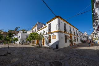 Las Flores de San Basilio - 8