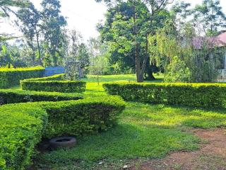 Quaint Serene Homes - 9