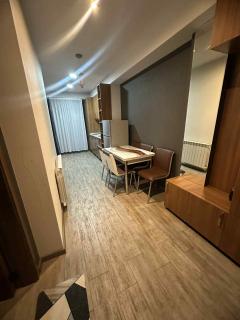 Area Park Bakuriani - 4