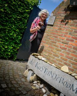 B&B De Kastanjeboom - Jabbeke - 7