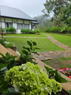 Powysland Bungalow - 4