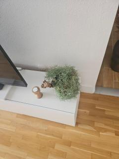 Cozy rooms near the New York cafe - 5