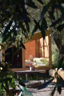 The SkyRoom - AUT vita sotto gli alberi - 4