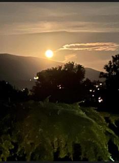 Assisi, la Noce - 4