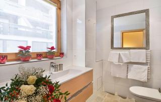 Appartement Alpen Lodge - 3