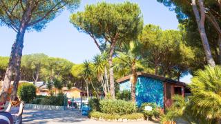 Residence with swimming pool in Albinia just 150 mt from the beach - 8
