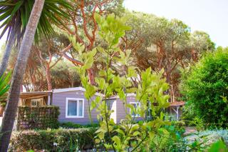 Residence with swimming pool in Albinia just 150 mt from the beach - 3