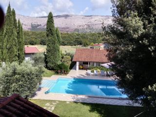 Villetta BLUE GARDEN - 9