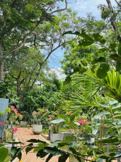 Maritime Nest Cabanas - 7