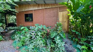 The frog house - 5