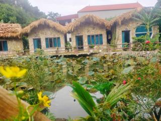 Hang Mua Cozy Homestay - Ninh Bình - 0