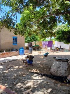 Chez Fatou - Immersion au cœur du Sénégal - 2