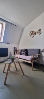 T1 rénové 24m2 Cosy Confort ! - 9