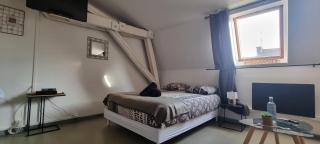 T1 rénové 24m2 Cosy Confort ! - 0