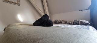 T1 rénové 24m2 Cosy Confort ! - 5