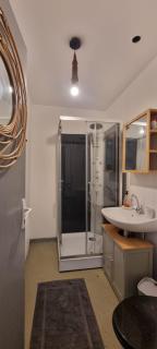 T1 rénové 24m2 Cosy Confort ! - 3